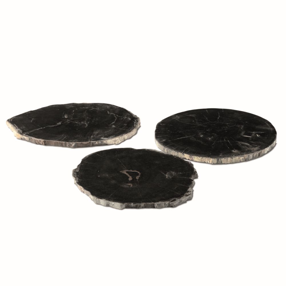 Gommaire-decoration-petrified_wood-accessories-plate_petri-G637-Antwerpen